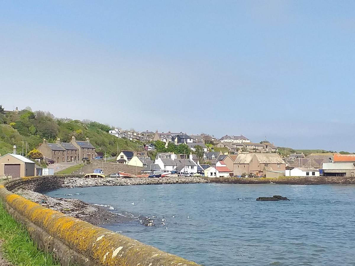 Coastal Cottage Inverbervie Exterior photo